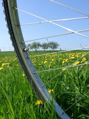 Killikus&reg; Fotographie